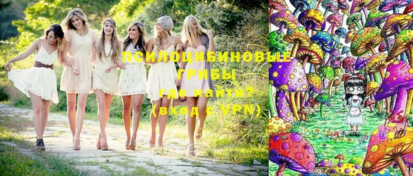 тгк Баксан