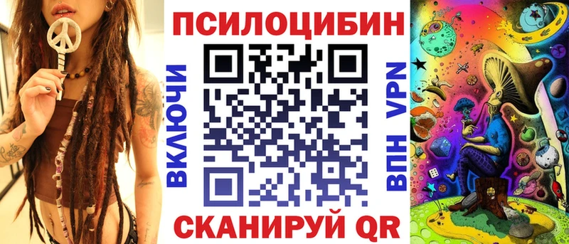 OMG как зайти  Высоцк  Псилоцибиновые грибы Psilocybine cubensis 