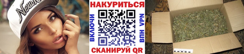 цена наркотик  Высоцк  Бошки Шишки сатива 